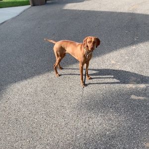 Meet your Posher, Logan